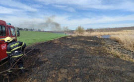 Incendiu de vegetație întro localitate din Rîșcani