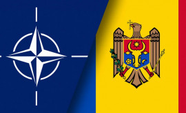 Majoritatea populației Moldovei este împotriva aderării țării la NATO