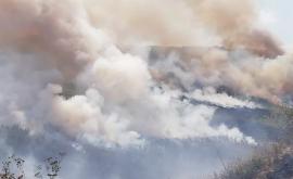 Село Мындрештий Ной уже несколько дней окутано токсичным дымом