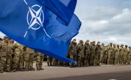 Cînd va hotărî NATO dacă își retrage trupele din Afganistan 