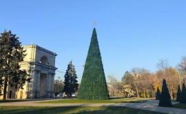 В центре Кишинева установлена елка