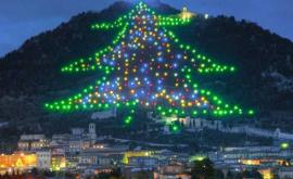 В Италии зажглись огоньки на самой большой елке в мире