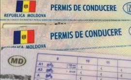 Гражданин Молдовы заплатил 400 евро за поддельные водительские права