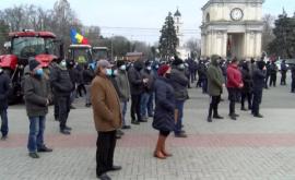 Заявление Простые граждане недовольны протестами фермеров