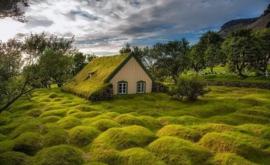De ce în Islanda se construiau case sub pămînt În ce consta secretul arhitecturii antice Foto