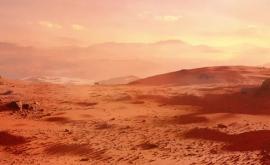 Microorganisme de pe Pământ ar putea supraviețui temporar pe Marte studiu