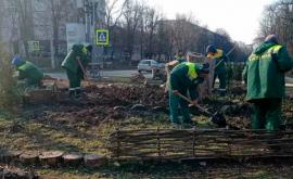 Чебан Центральные власти должны платить за уборку у их зданий