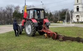 Фермер пропахавший борозду на лужайке Соборного парка был оштрафован