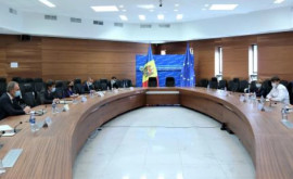 A fost creat Grupul interministerial de lucru privind ajutorul financiar nerambursabil din partea României
