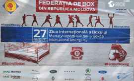 Cine au devenit campioni ai Moldovei la box