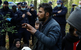 Польша будет выдворять прибывающих из Беларуси мигрантов