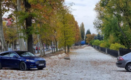 Unde a fost amenajată parcarea din preajma parcului Dendrariu