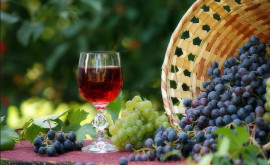 Винодельни ждут гостей по случаю Всемирного дня винного туризма