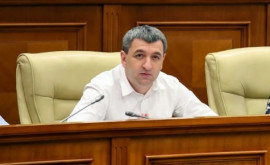 Lilian Carp a oferit detalii despre sesizarea depusă la Procuratură în dosarul 7 aprilie