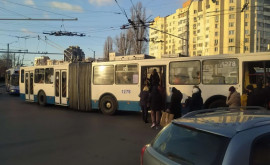 Ambuteiaje la viaduct Un troleibuz a blocat traficul în zonă