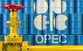 Нефть подешевеет Страны ОПЕК договорились увеличить ее добычу 
