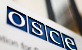 La Viena va avea loc o reuniune specială a Consiliului Permanent al OSCE 