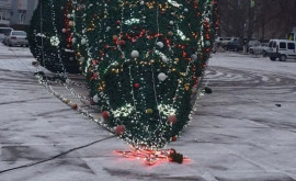 Рождественская елка в Бричанах повалена сильным ветром