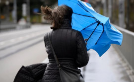 Синоптики предупреждают об усилении ветра в Молдове
