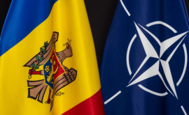 Молдова определила приоритеты сотрудничества с НАТО 