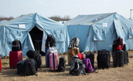 Тонны предметов первой необходимости собраны для украинских беженцев