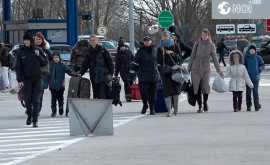 Число просителей статуса беженца в Молдове может многократно вырасти Мнение