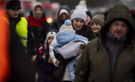 Норвегия примет 2500 украинских беженцев из Молдовы