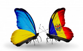 Истории добра Мы живы благодаря заботе жителей Молдовы