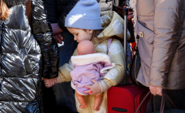 Граждане Молдовы в Италии отправили партию гуманитарной помощи украинским беженцам