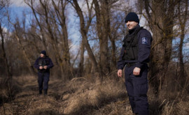 Беженцы в Молдове Статистика въехавших в страну