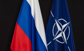 Кремль прокомментировал вероятность столкновения НАТО и России