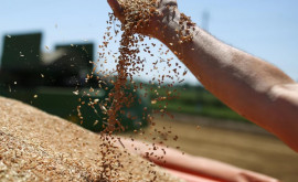 Rusia nu va împiedica exportul de cereale ucrainene prin Polonia Afirmație