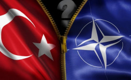 Соратник Эрдогана допустил выход Турции из НАТО изза Швеции и Финляндии