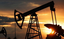 Цены на нефть достигли максимума последних двух месяцев