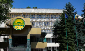  В Молдове готовят реформу высшего образования