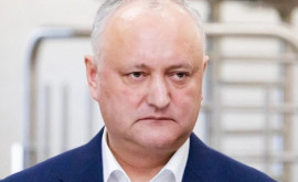 Dodon și panglica bicoloră Ședința de judecată amînată pînă la toamnă