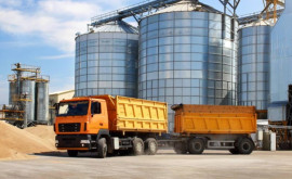 Египет аннулировал контракт на поставку украинской пшеницы