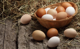 ANSA сообщает какая информация должна быть указана на упаковке яиц