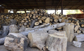 В одном из лесничеств закончилась древесина на продажу