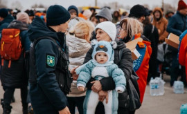 Библиотекари нашей страны обучают оказанию эмоциональной помощи украинским беженцам