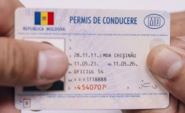 Коррупционная схема в Оргееве за какую сумму выдавались водительские удостоверения