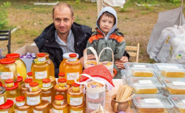 В секторах столицы будут организованы ярмарки местной продукции 