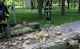 Трагедия в парке Алунелул На какой стадии находится расследование 