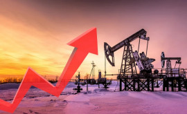 Нефть марки Brent снова стала дорожать 