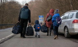 Граждане Украины смогут запрашивать временную защиту на территории Молдовы 