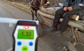 На дорогах страны все больше попадаются нетрезвые возчики гужевого транспорта 