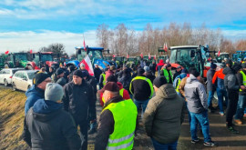 Польские фермеры протестуют против массовых поставок украинского зерна