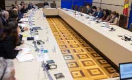 Grosu a discutat cu membrii Parlamentului European despre agenda parlamentară de reforme