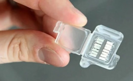 Создан микрочип для определения аллергии сразу на 120 аллергенов 