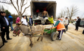 Экстренная поддержка позволяет семьям в Молдове кормить свой скот